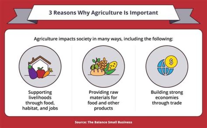 Why is food important to the economy?