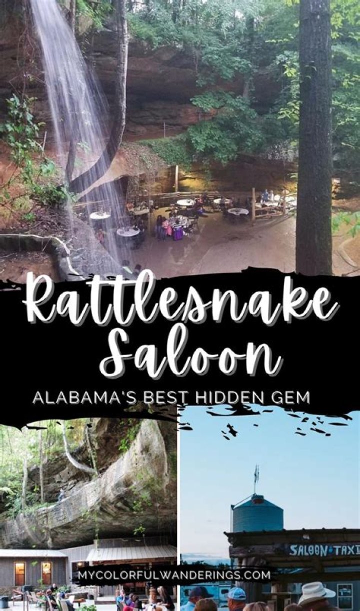 Why is it called Rattlesnake Saloon?
