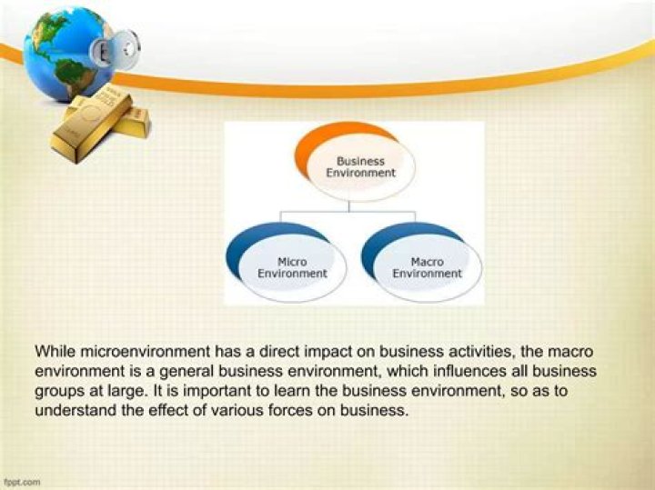 Why is it important to understand the macro environment of the firm?