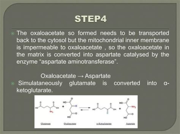Why is malate-aspartate shuttle more efficient?