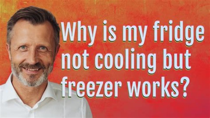 Why is my Frigidaire freezer working but not my fridge?