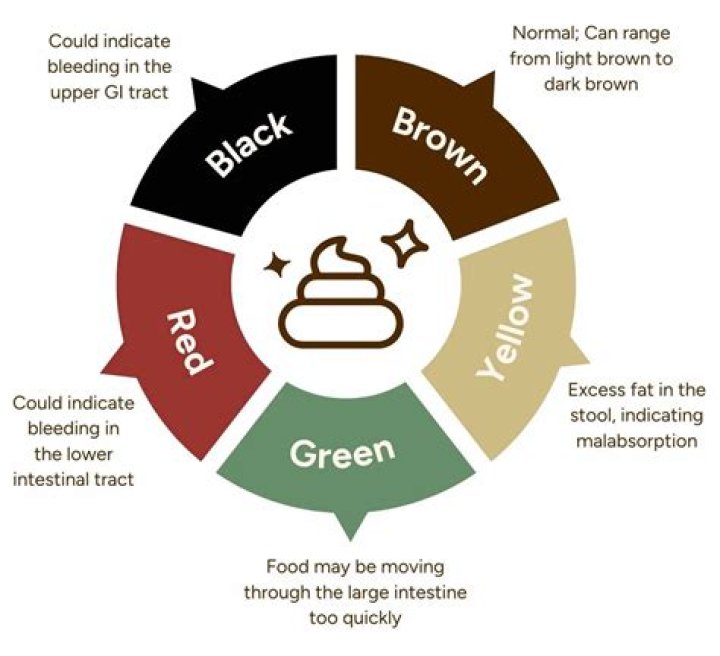 Why is my poop green and diarrhea like?