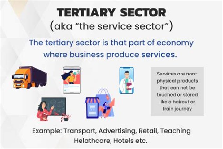 Why is tertiary sector important for economic development?