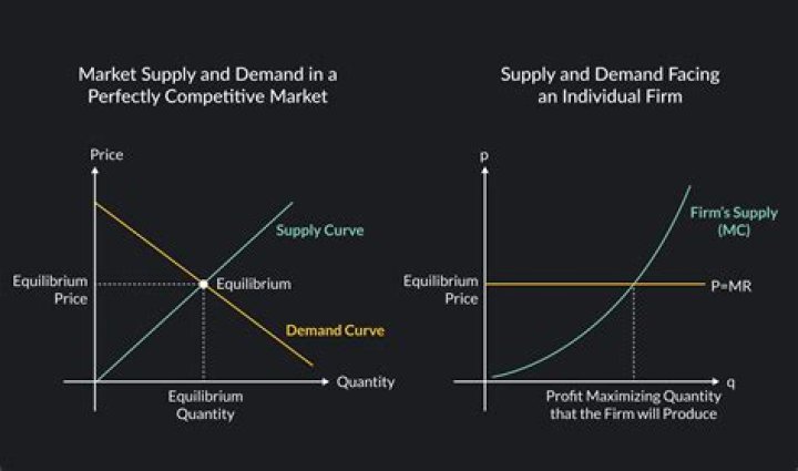Why is the demand curve perfectly elastic for a firm in a perfectly competitive market?