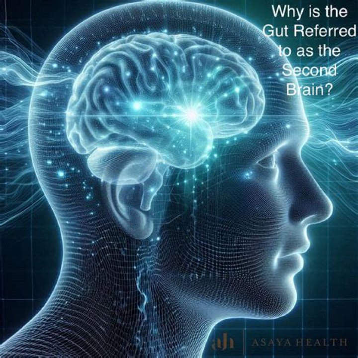 Why is the gut referred to as the second brain?