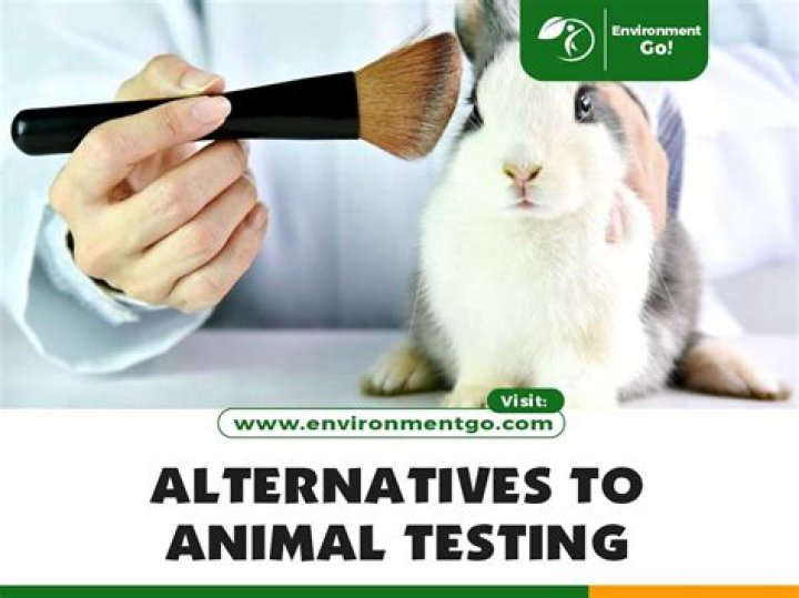 Why there are no alternatives to animal testing?