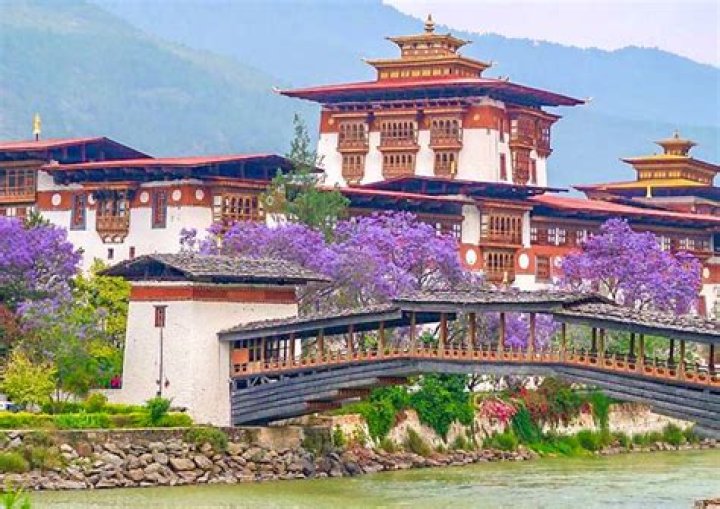 Why Thimphu tshechu is important?